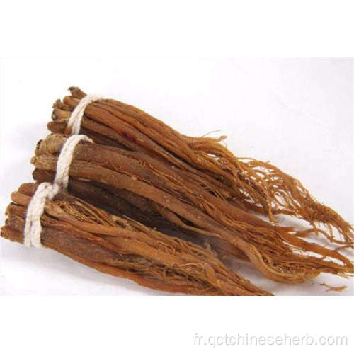 Radix Ginseng Rubra de qualité supérieure